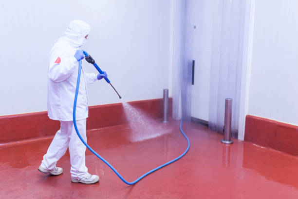  Proctor, VT Pressure Washing Pros
